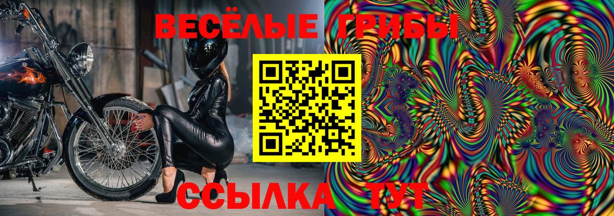 Галлюциногенные грибы прущие грибы Севастополь